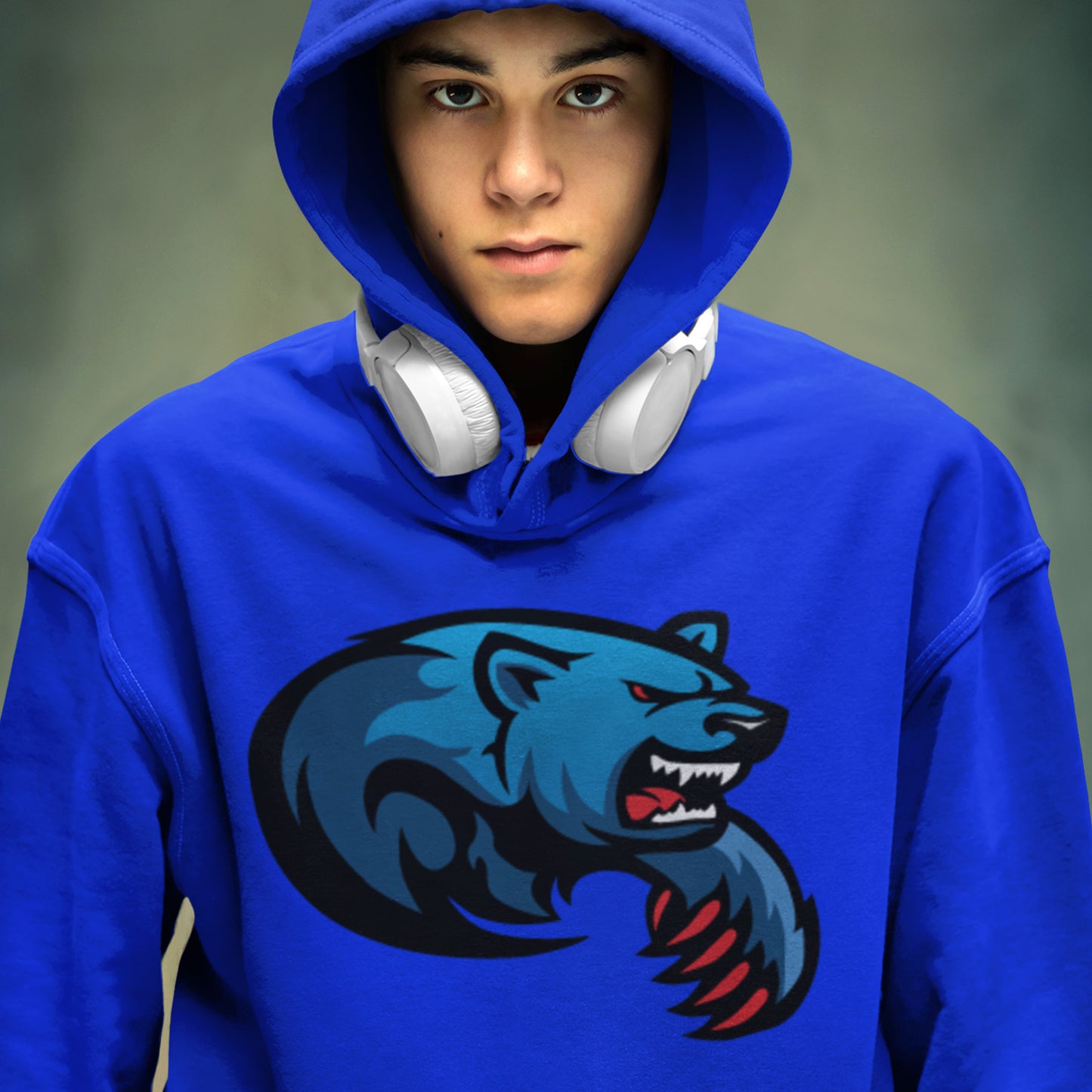 Bears Classic Hoodie