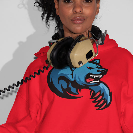 Bears Classic Hoodie