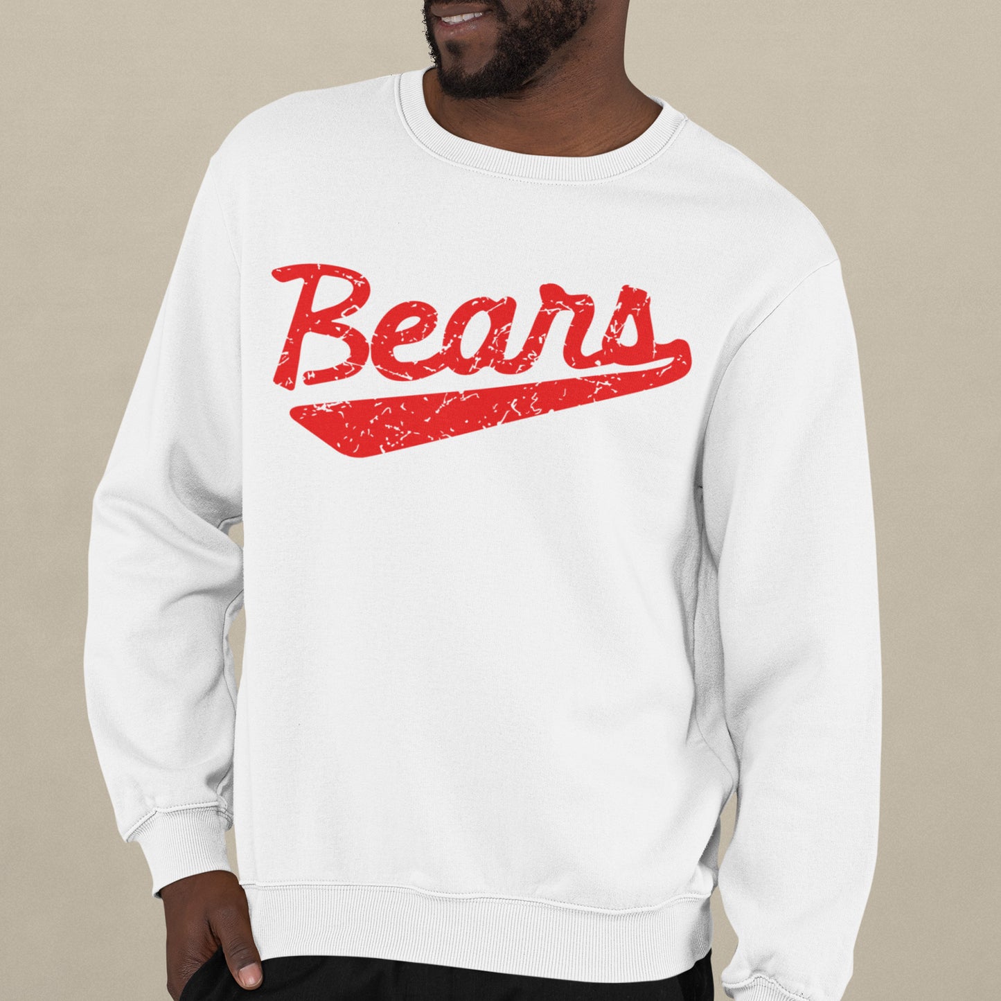 Retro Bears Hoodie