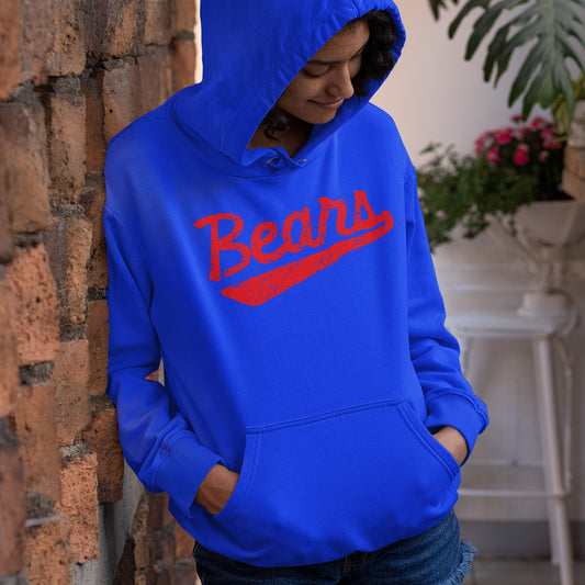 Retro Bears Hoodie