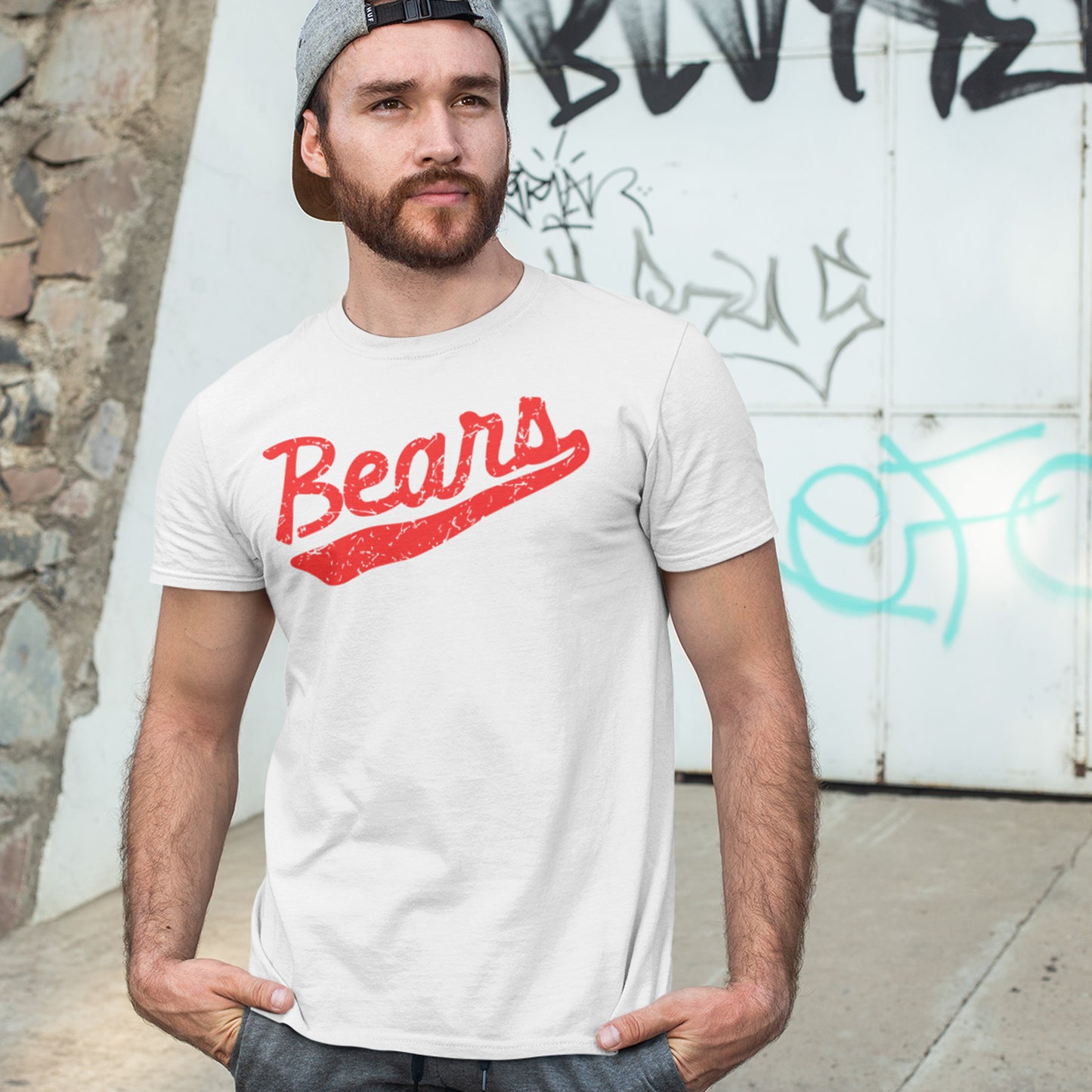 Retro Bears Softstyle Shirt